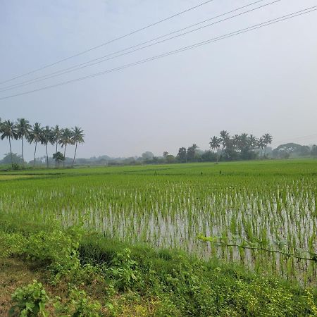 Tanjore Home Stay 坦贾武尔 外观 照片