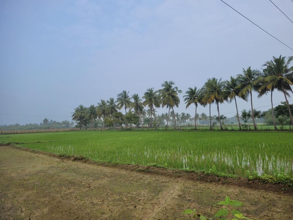 Tanjore Home Stay 坦贾武尔 外观 照片