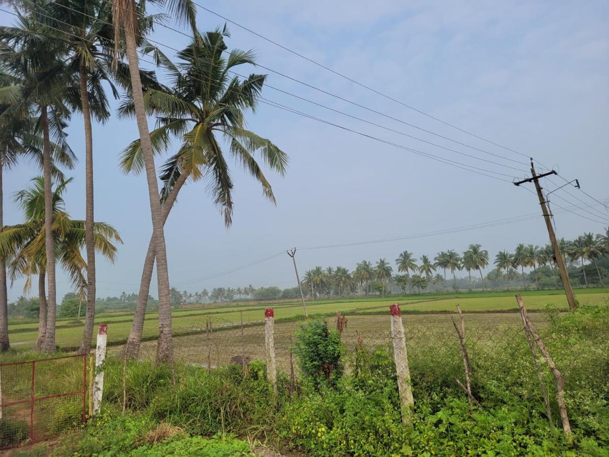 Tanjore Home Stay 坦贾武尔 外观 照片