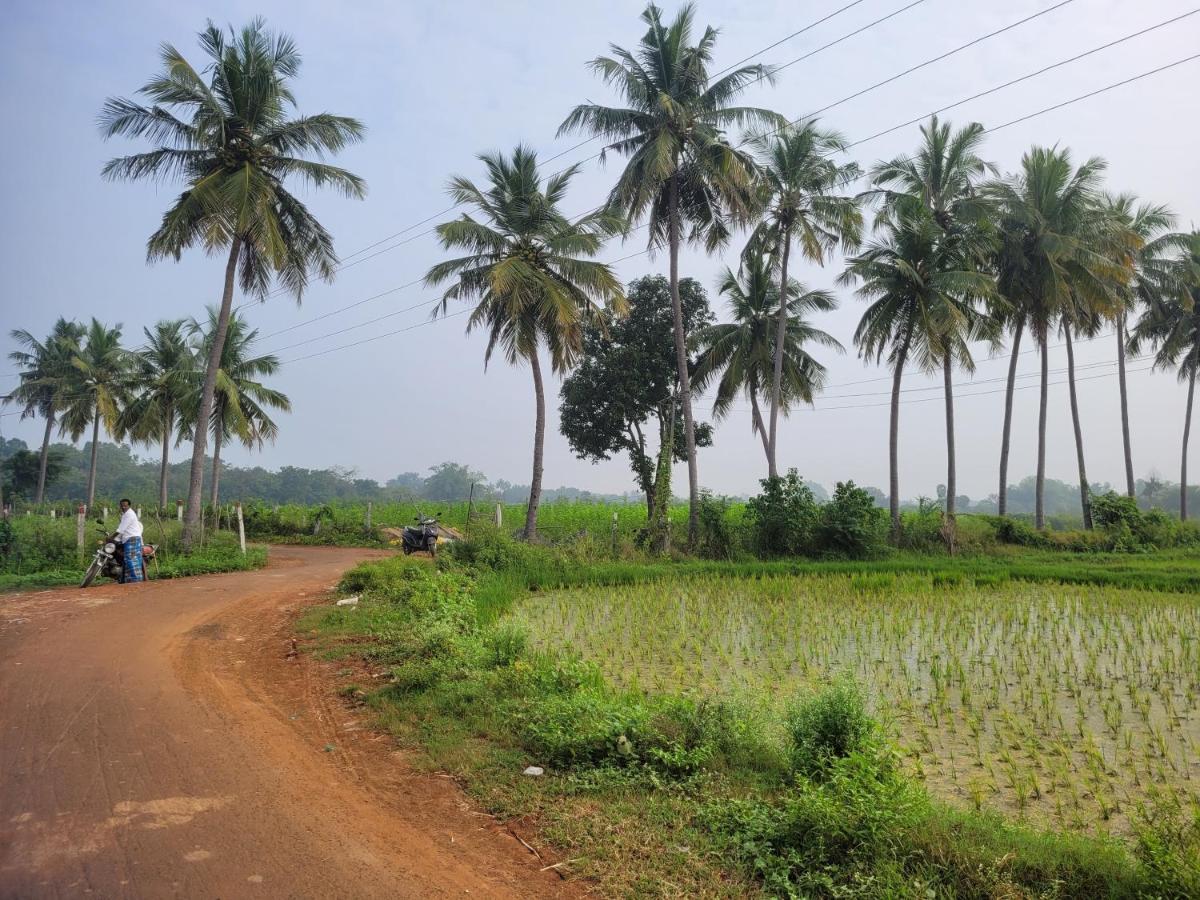 Tanjore Home Stay 坦贾武尔 外观 照片